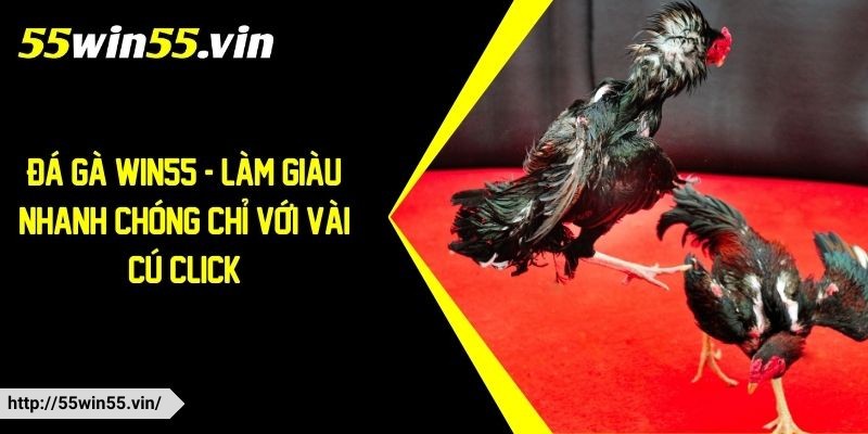 Đá gà Win55