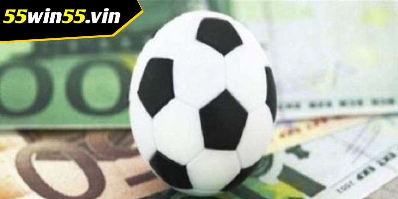 Kinh nghiệm chơi cá cược thể thao của cao thủ Win55 Kinh nghiệm chơi cá cược thể thao của cao thủ Win55